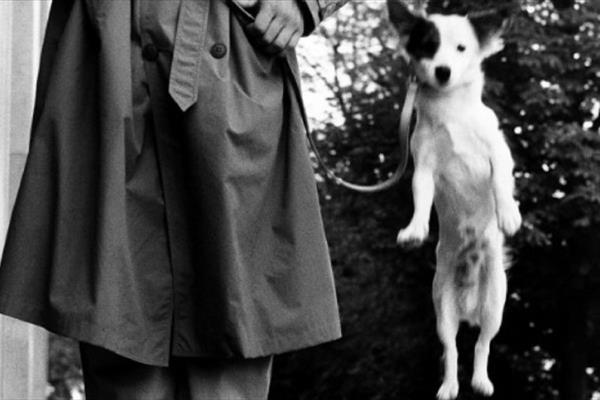 Elliot Erwitt: Mostra Fotografica - Treviso Elliot Erwitt: Mostra Fotografica - Treviso
