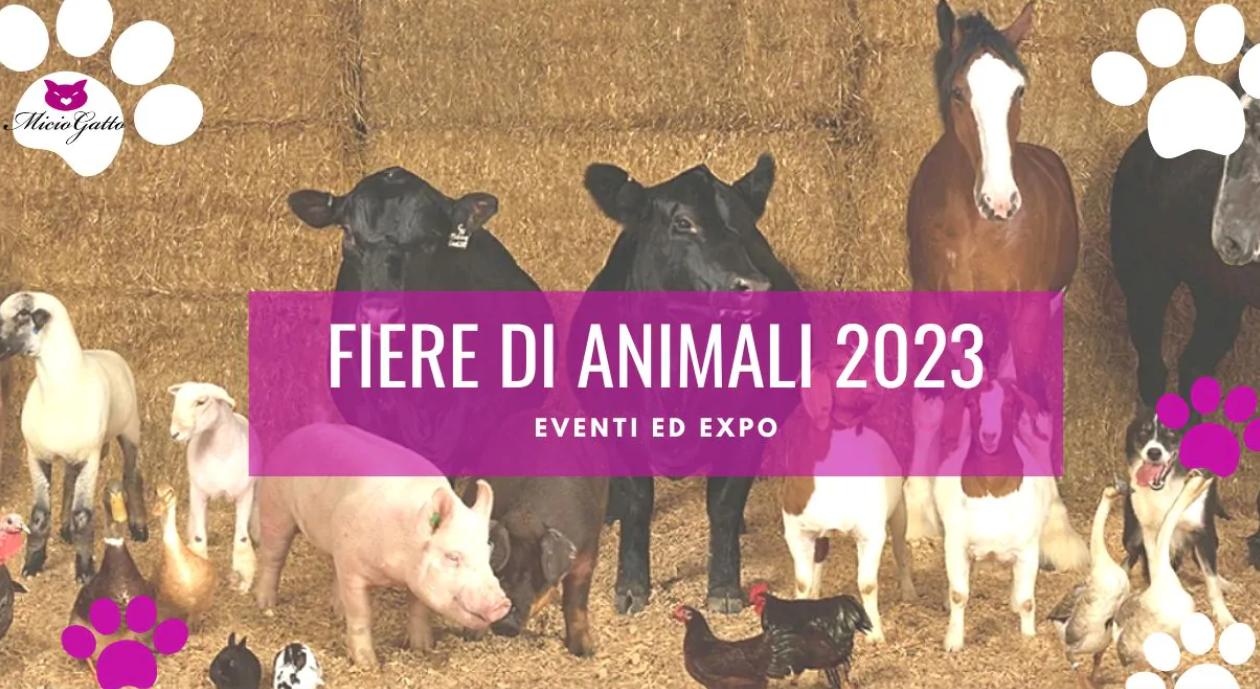 Fiere animali 2023- Verona