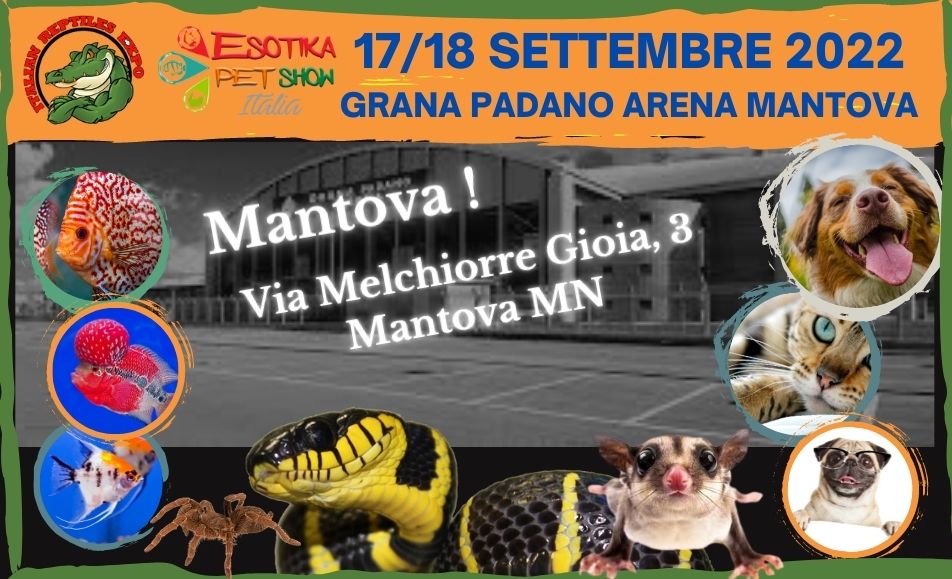 Esotika pet show - Grano Padano Arena Mantova